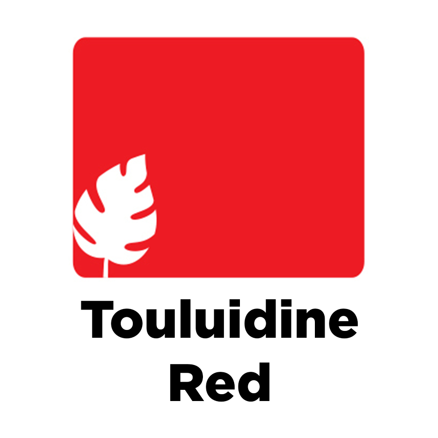 SINCLAIR ACRI COLOR (60ml - Toluidine Red)