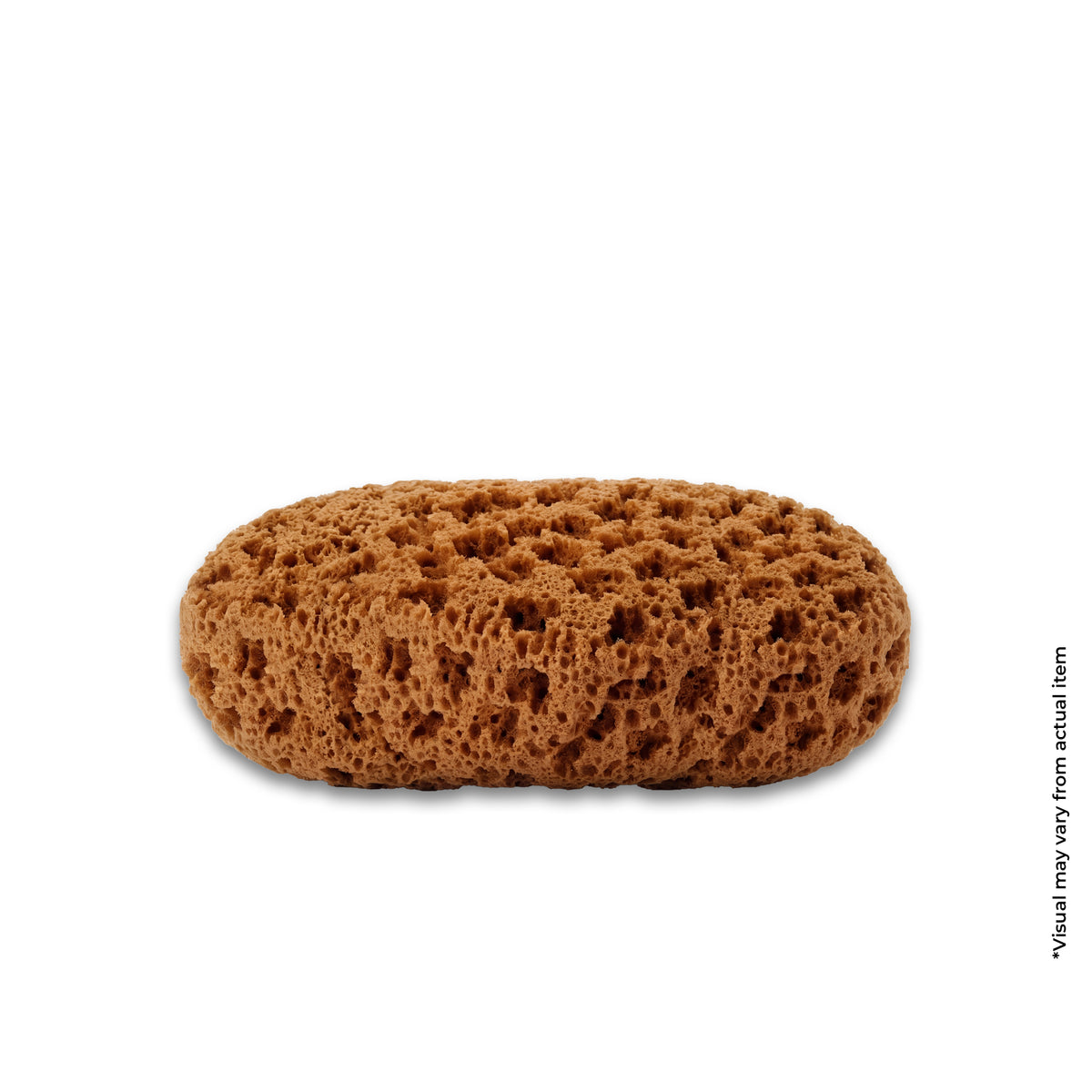 SINCLAIR DECORATIVE TOOLS NATURAL SPONGE