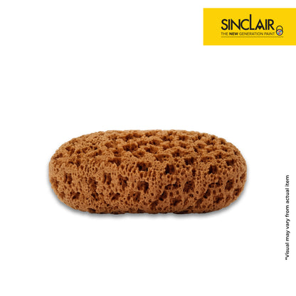 SINCLAIR DECORATIVE TOOLS NATURAL SPONGE