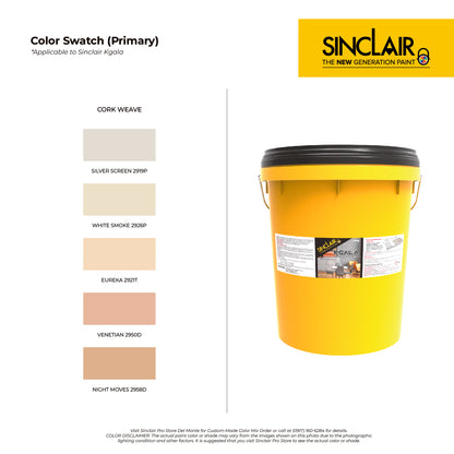 SINCLAIR KGALA (10KG) - Textured Finish Coat